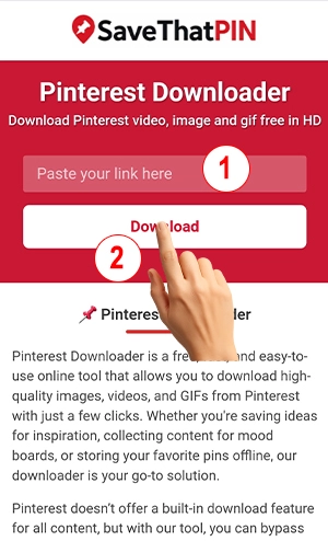 Pinterest Downloader - Pinterest-Videos, Bilder & GIFs kostenlos online ...
